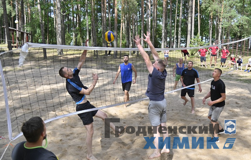 345667879778 (1).jpg